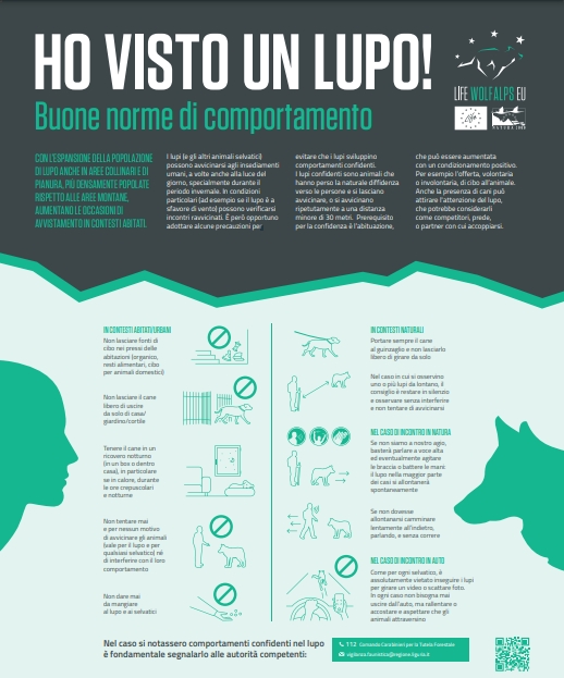 HO VISTO UN LUPO! Buone norme di comportamento