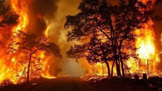 Decreto Stato pericolosità per incendi boschivi